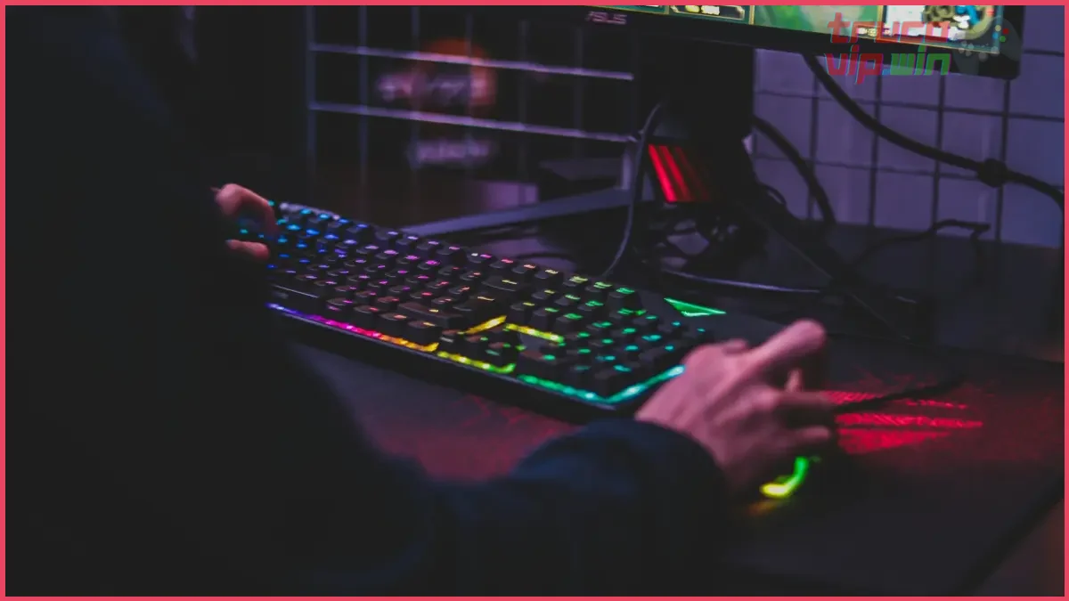 Equipo de hardware y conexión estable para rendimiento óptimo