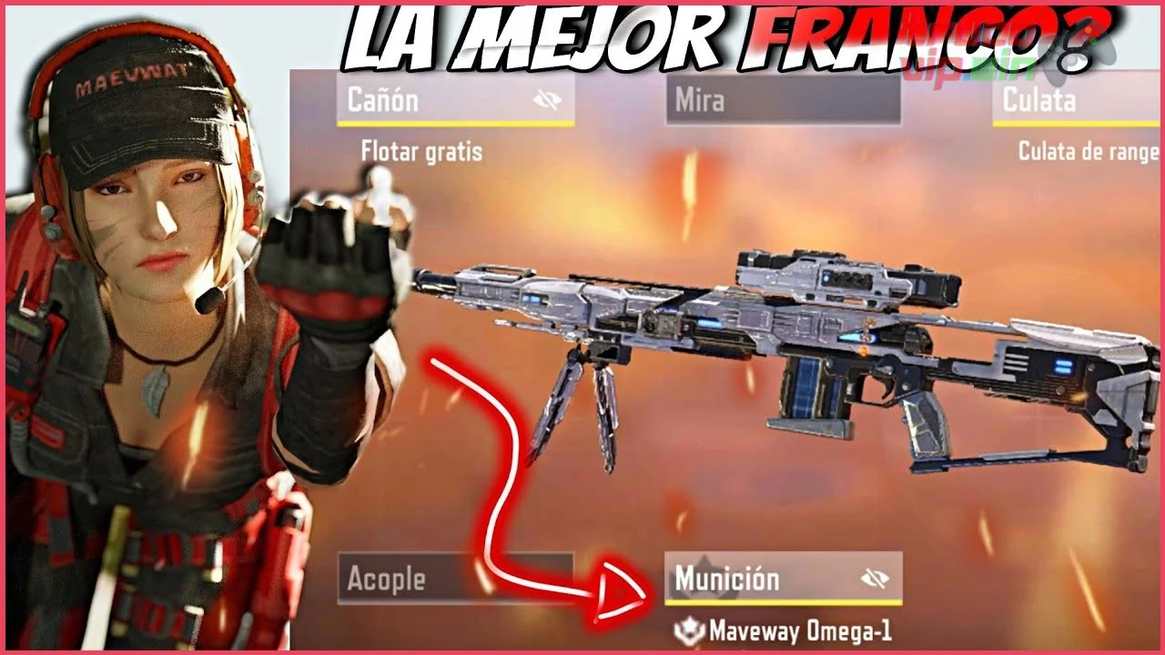 Fusil de tirador DL Q33